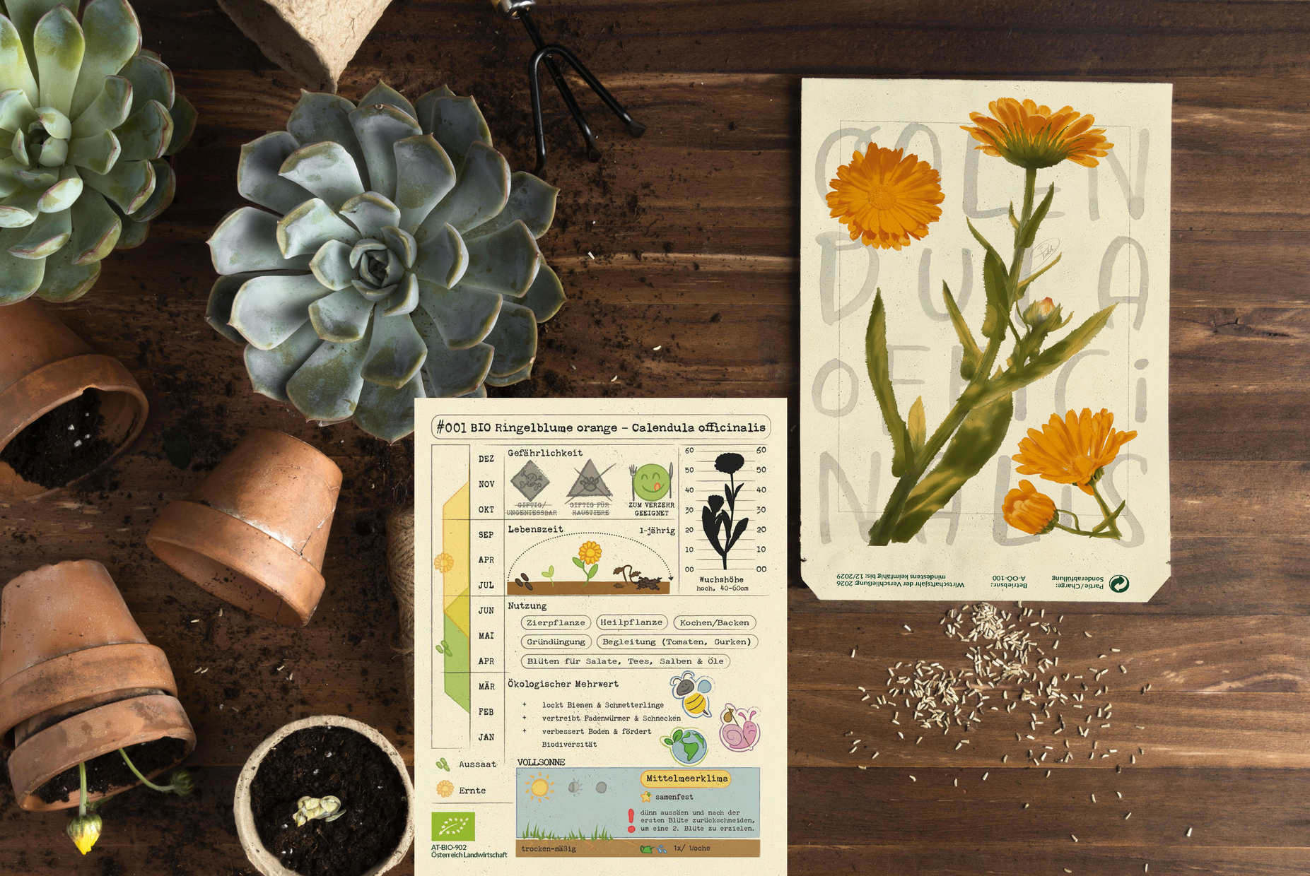 Eigenentwicklung einer designorientierten Saatgutverpackung mit integriertem visuellem Informationssystem. Produziert in Kleinserie in Österreich, Saatgut von Samen Maier GmbH (AT-BIO-902), Druck auf Graspapier.